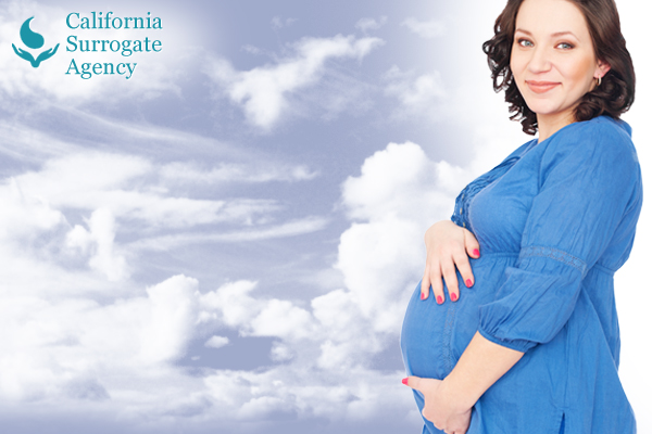 How Does Surrogacy Work