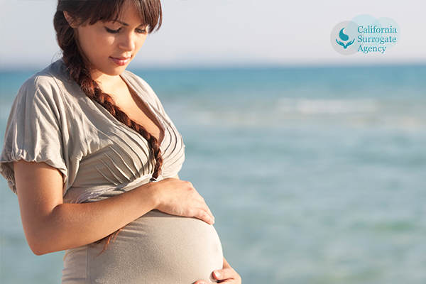 California Surrogacy,What is Commercial Surrogacy In Los Angeles, California